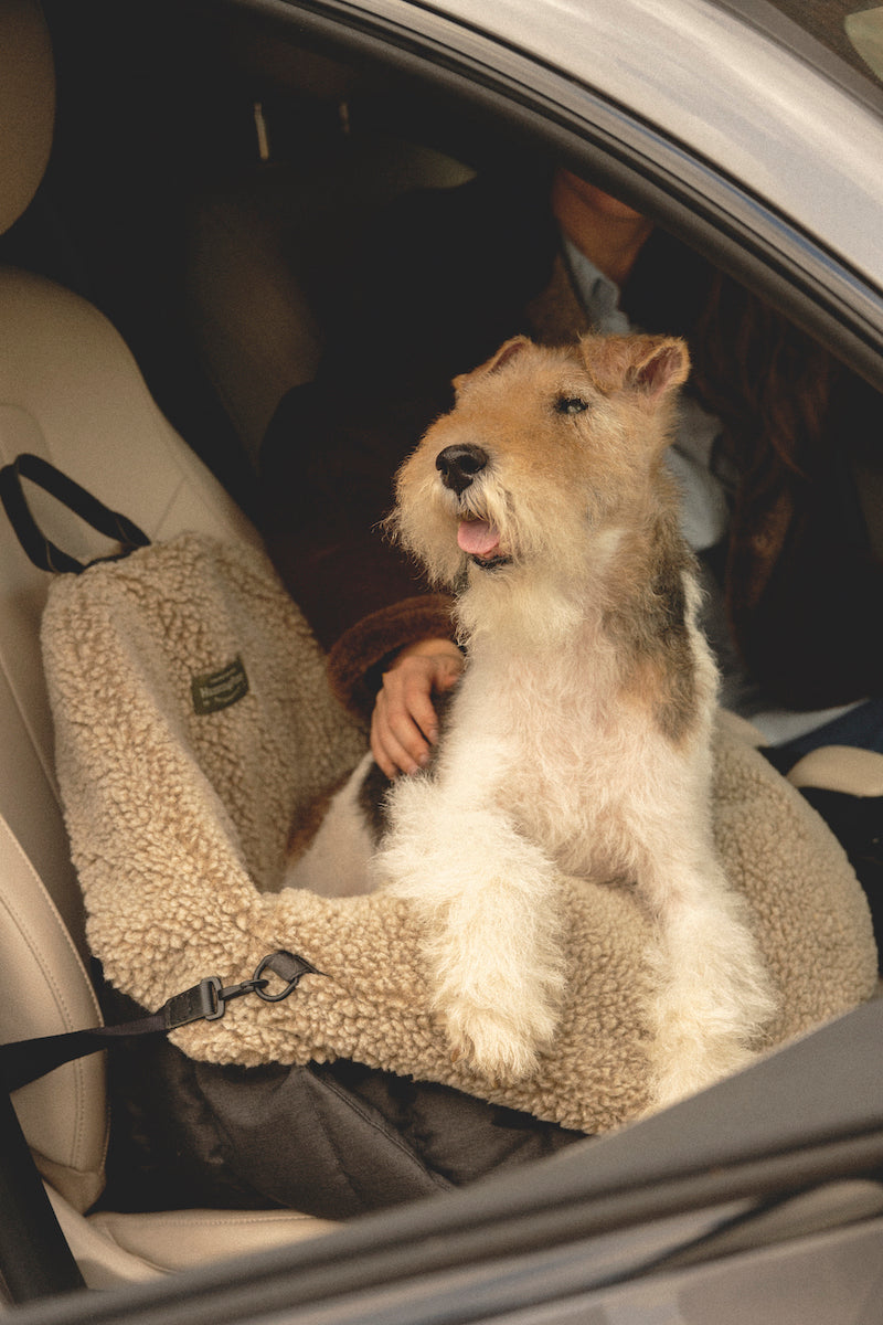 Premium Black Dog Car Seat - Safe & Comfortable Pet Travel Carrier for Small to Medium Dogs - Perfect for Road Trips & Daily Commutes