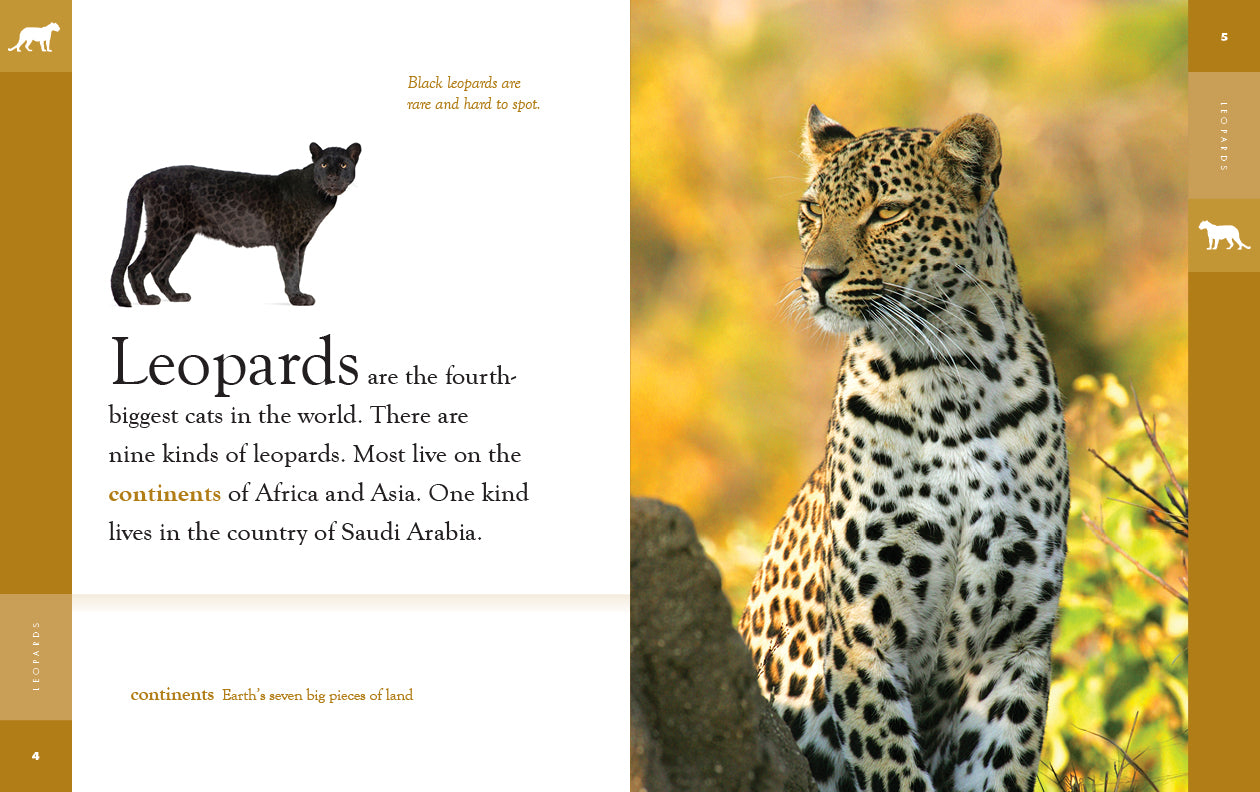 Leopards: 9781640265479 - Wild Animal Book for Kids & Adults - Perfect for Wildlife Enthusiasts, Nature Lovers & Classroom Learning