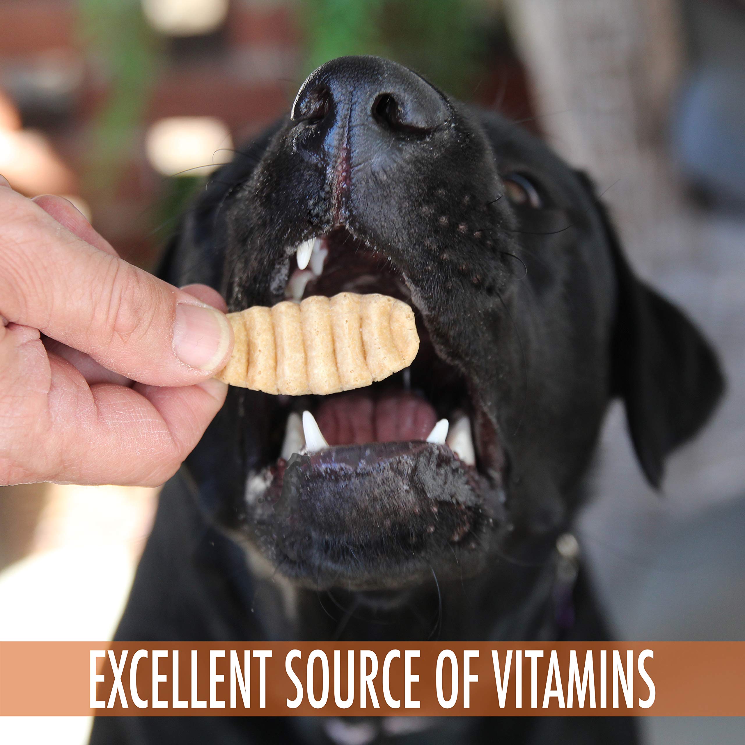 Healthy Low Calorie Sweet Potato & Chicken Dog Treats 12 oz - Grain Free, Low Fat Training Snacks for Small & Large Dogs - Perfect for Reward, Obedience & Dental Care