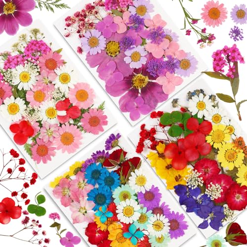 Mixed Colors