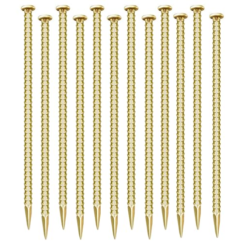 T-12'' 10mm 12pcs GD
