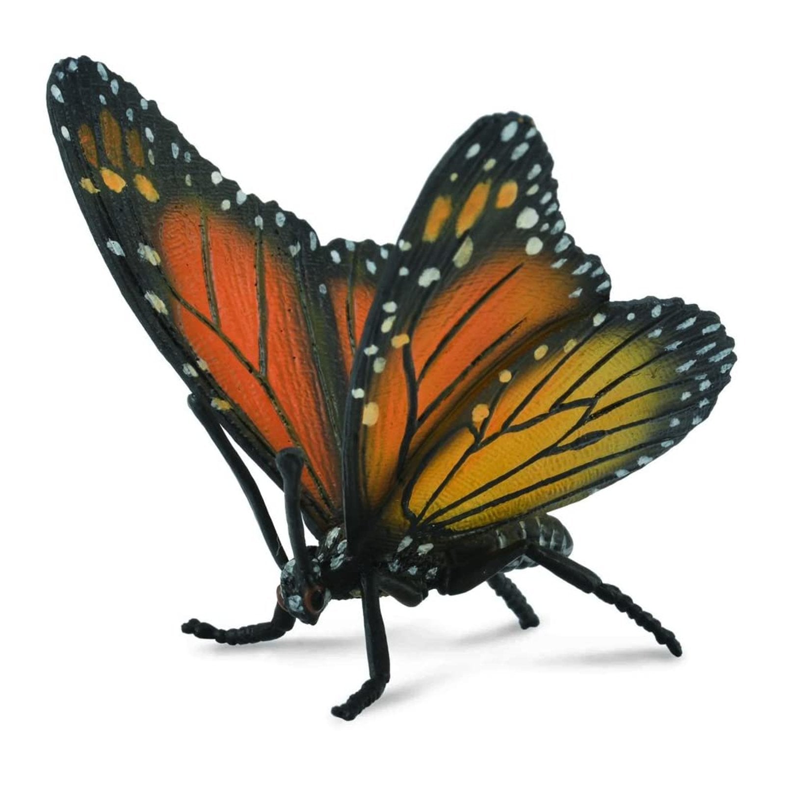 CollectA Monarch Butterfly Animal Figure 88598 - Realistic Butterfly Toy for Kids, Educational Insect Model for Nature Study - Perfect for Classroom, Science Projects & Nature Collections