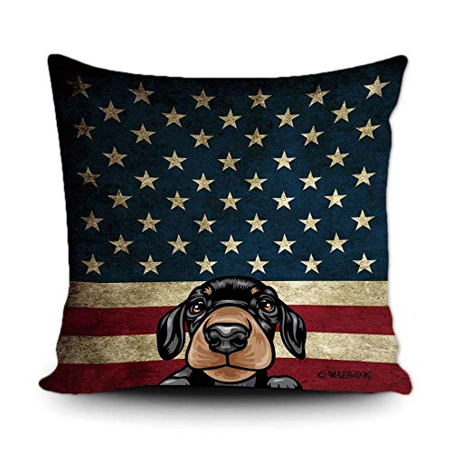 Dachshund-2