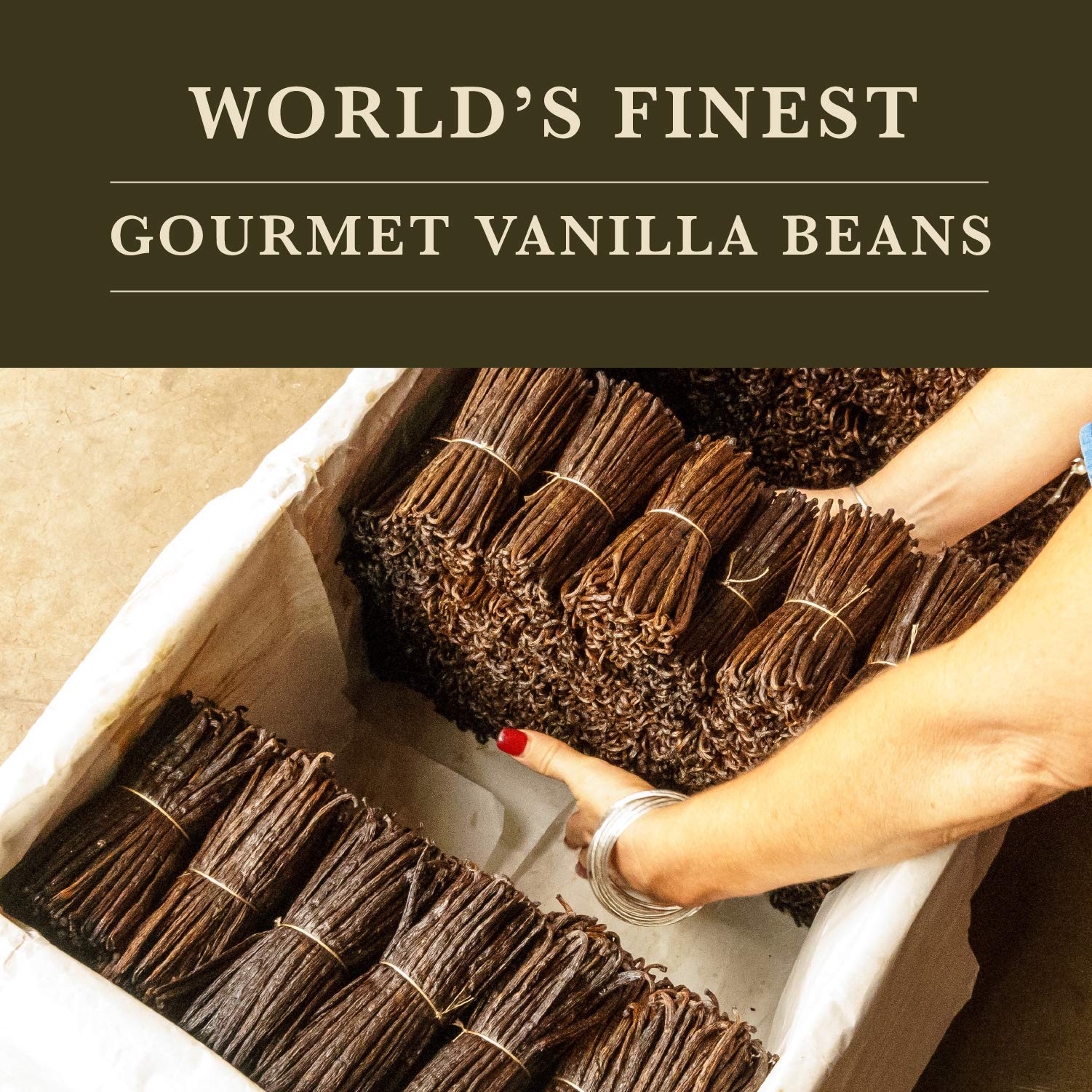 16 oz (1 lb) Organic Madagascar Whole Vanilla Beans - Grade A Vanilla Pods for Baking, Extract Making & Cooking | Premium Vanilla Beans for Desserts, Ice Cream & Cocktails