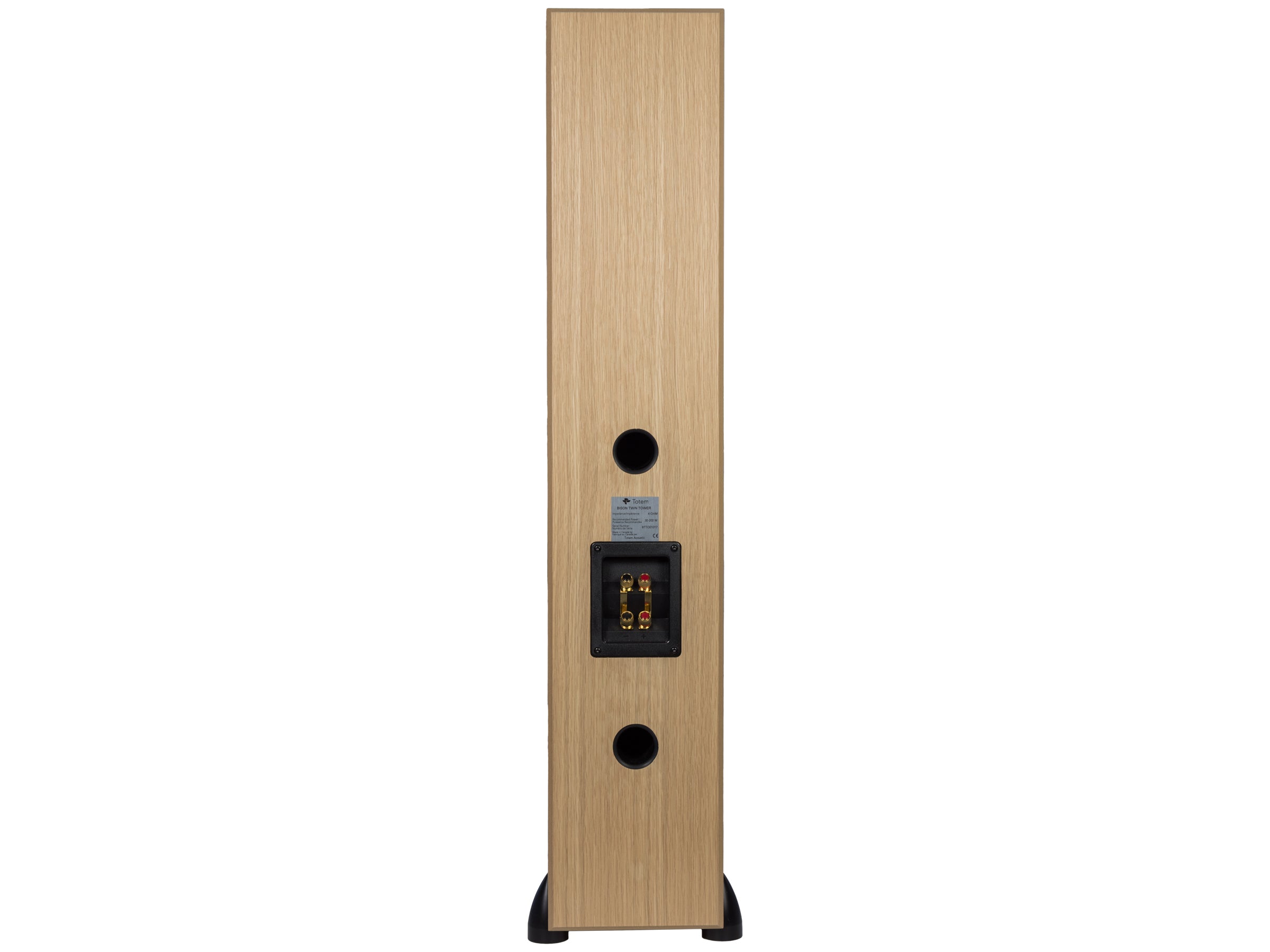 Totem Acoustic Bison Twin Tower Speakers (Pair) - Premium High-Fidelity Audio for Home Theater & Music Listening