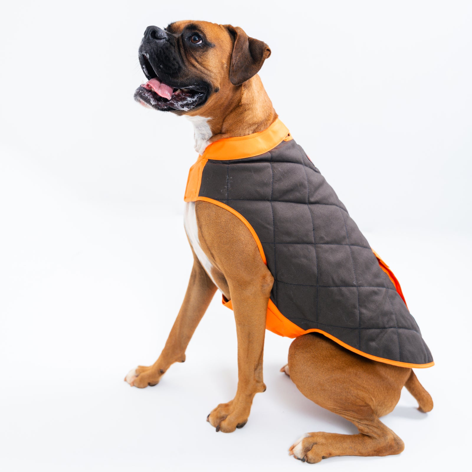 Highland Dog Vest for Small & Large Breeds - Warm & Stylish Winter Coat for Dogs - Perfect for Outdoor Walks, Hiking & Cold Weather Adventures