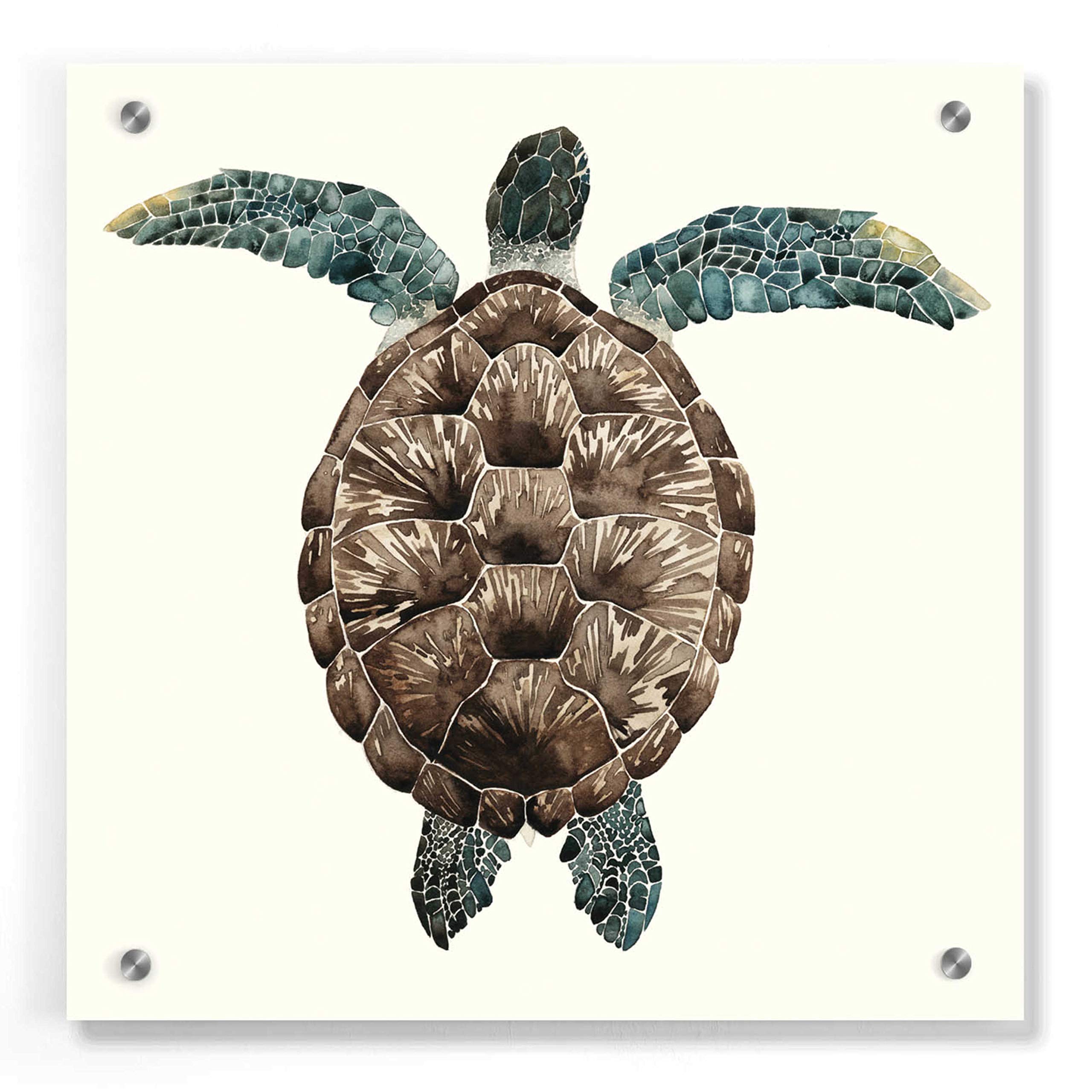 Epic Art 'Mosaic Turtle I' by Grace Popp - Vibrant 36x36 Inch Acrylic Glass Wall Decor - Modern Home & Office Wall Art for Living Room, Bedroom or Office Decoration