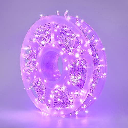 500L Purple