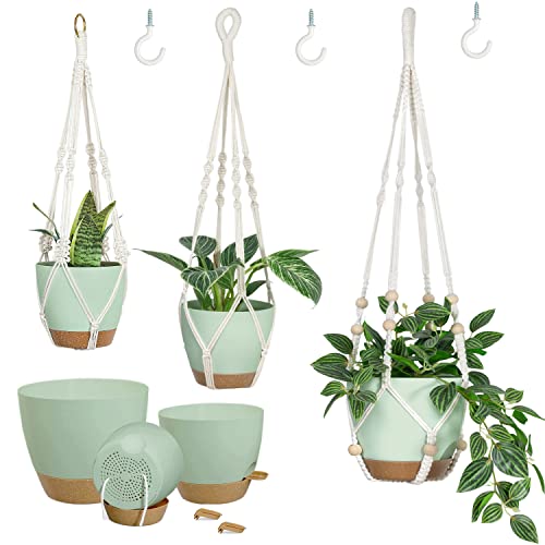 Self Watering Green