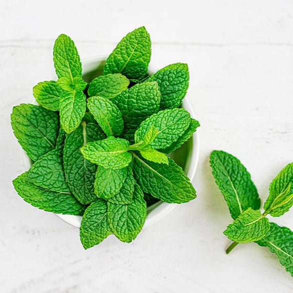 Organic Peppermint Essential Oil 10ml - 100% Pure Natural Aromatherapy Oil for Relaxation, Stress Relief & Headache Relief - Perfect for Diffusers, Massage & DIY Skincare