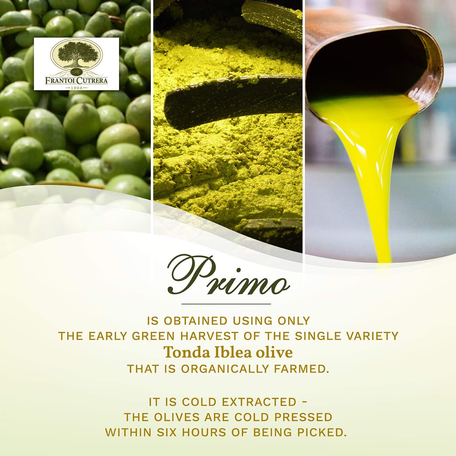 Premium Cold Extracted Sicilian Extra Virgin Olive Oil - DOP Certified, High Polyphenol, Cold Pressed EVOO - Authentic Italian Import, 25.4 fl oz (Pack of 3) - Perfect for Salads, Dipping, Cooking & Gourmet Recipes