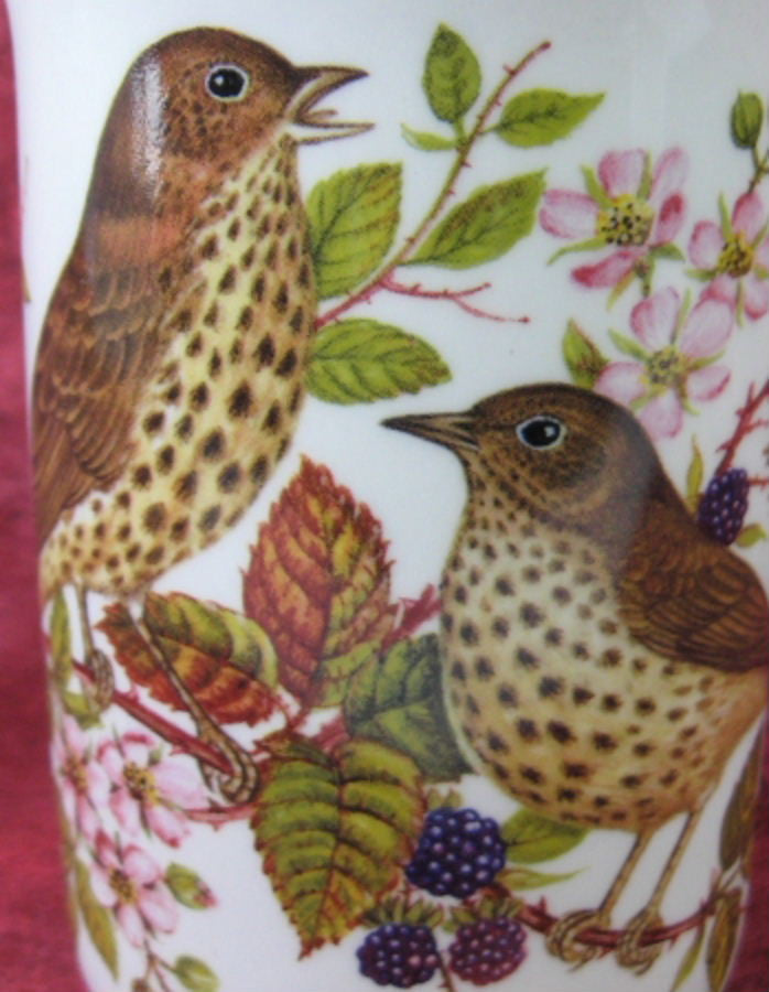 English Bone China Mug with Thrush and Blackberry Design - Elegant Tea & Coffee Cup for Home, Office, and Gift Giving