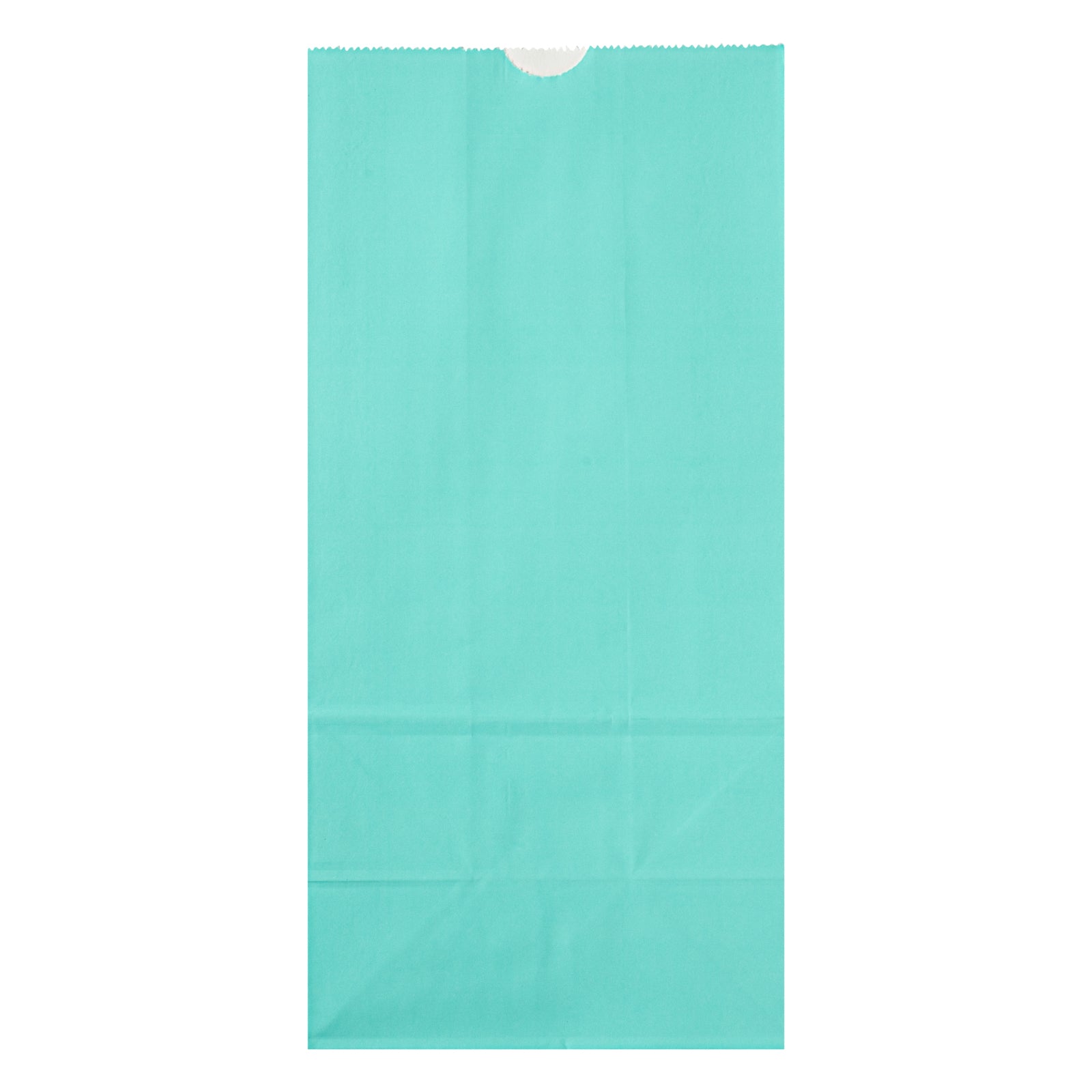 Premium Turquoise Paper Bags - 8 lb Capacity, 6 x 4 x 11.75 Inches, Pack of 100 - Perfect for Gift Wrapping, Party Favors & Retail Packaging