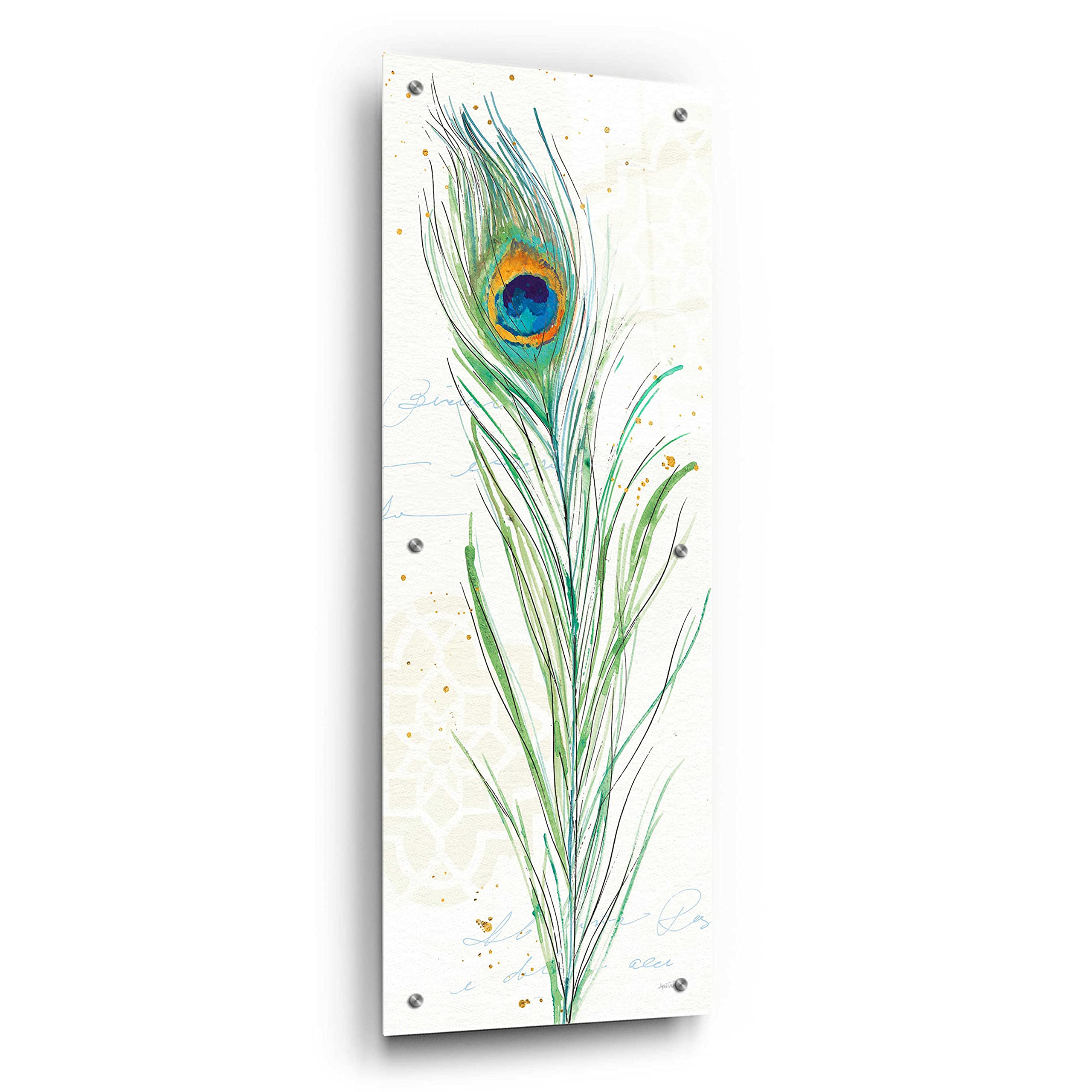 Epic Art 'Peacock Garden VI' by Ann Tavoletti - Vibrant Acrylic Glass Wall Decor 12x36 Inches - Perfect for Living Room, Bedroom & Office Decor