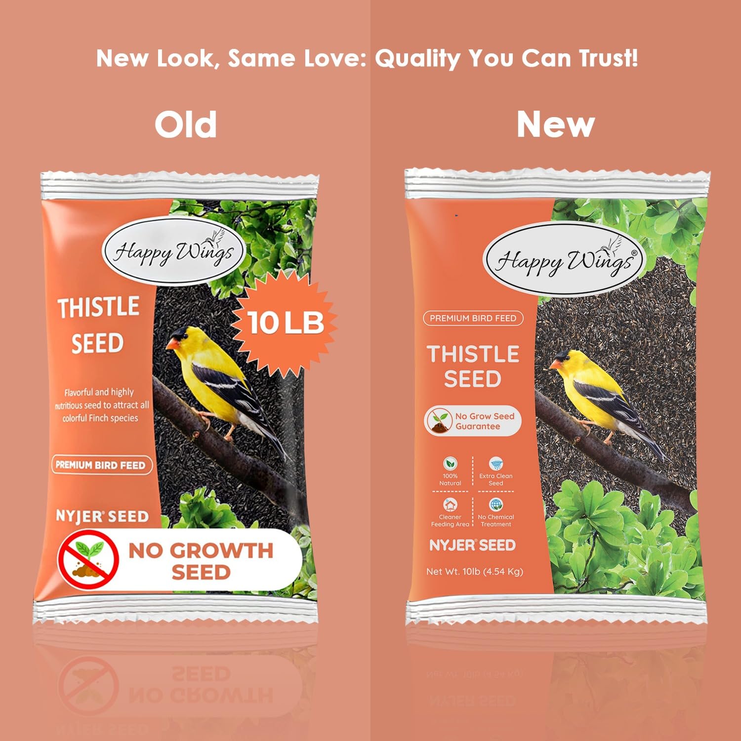 Premium Nyjer/Thistle Bird Seed - 10lb No-Grow Wild Bird Food with Free Mesh Sock Feeder | Attracts Finches & Songbirds | Backyard Birdwatching & Garden Feeding