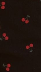 Aria Shorts - Black Denim Cherry High Waist Women's Casual Shorts for Summer, Travel & Outdoor Activities