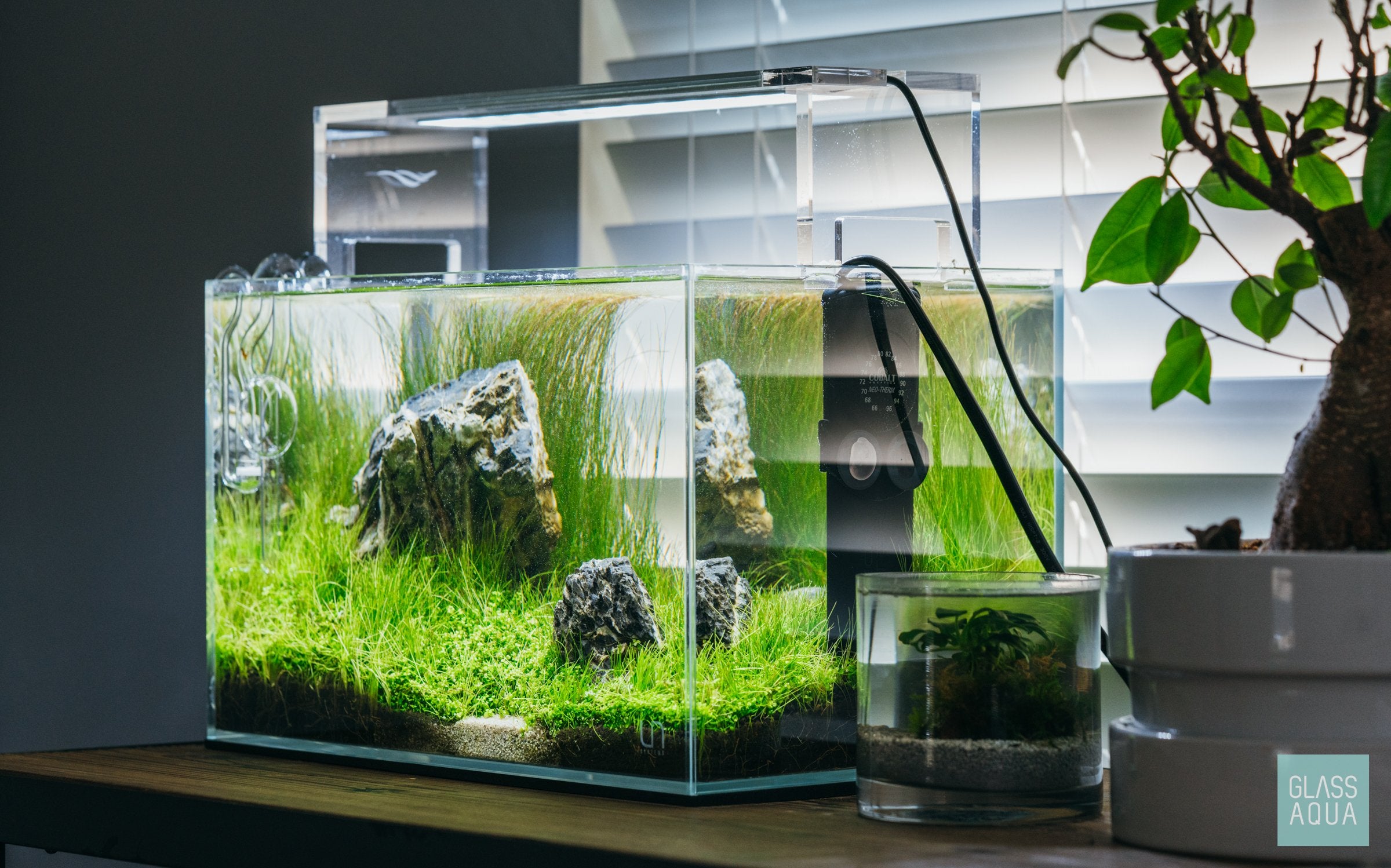 Premium UNS Rimless Nano Glass Aquarium Tank - 3 Gallon Crystal Clear Fish Tank for Betta, Shrimp & Small Aquatic Pets - Perfect for Home, Office Desktop & Zen Decor