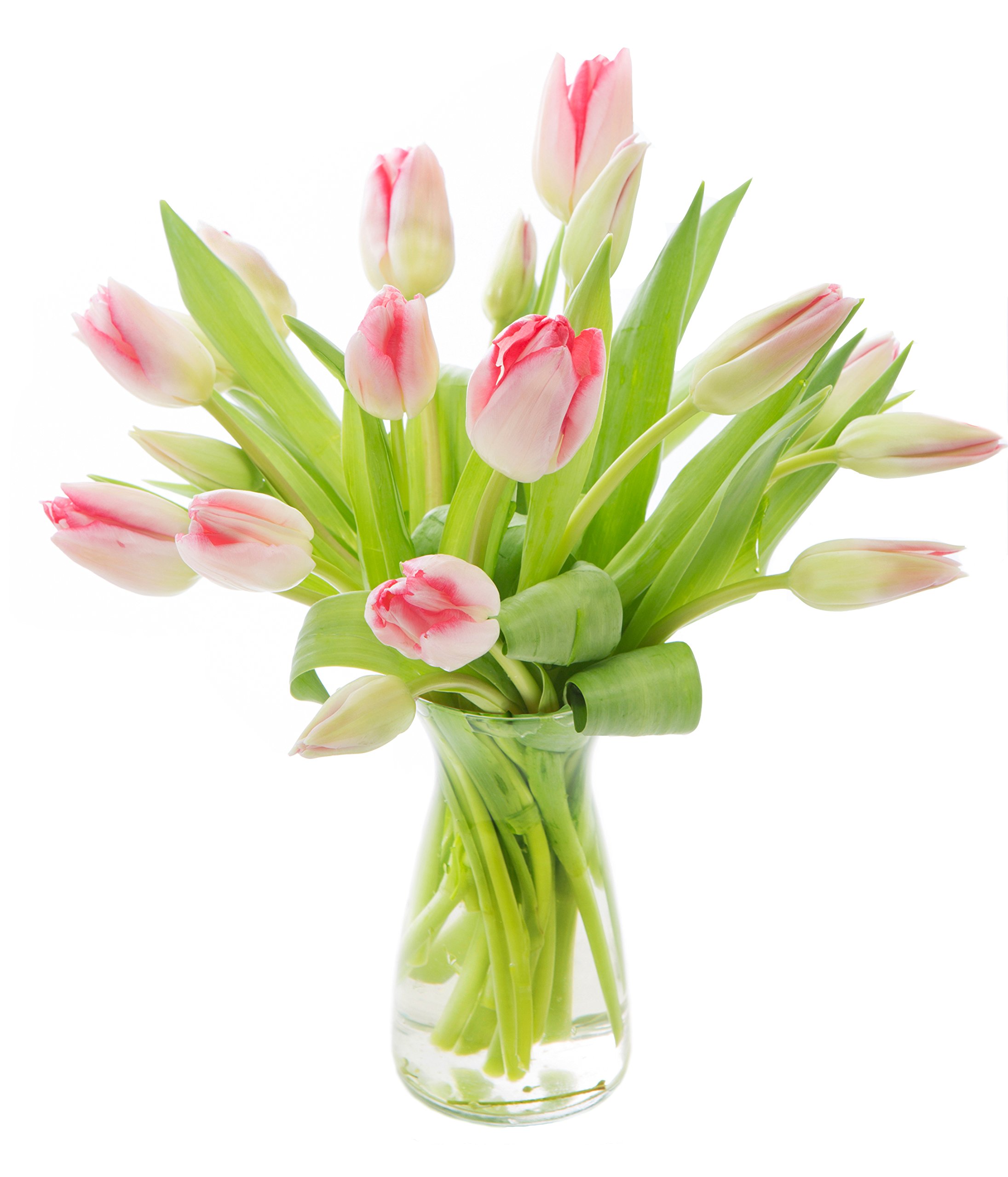 KaBloom PRIME NEXT DAY DELIVERY - 20 Fresh Pink Tulips Bouquet with Glass Vase | Birthday, Anniversary, Valentine's Day, Mother's Day Gift | Perfect for Home Decor, Wedding Centerpieces & Romantic Surprises