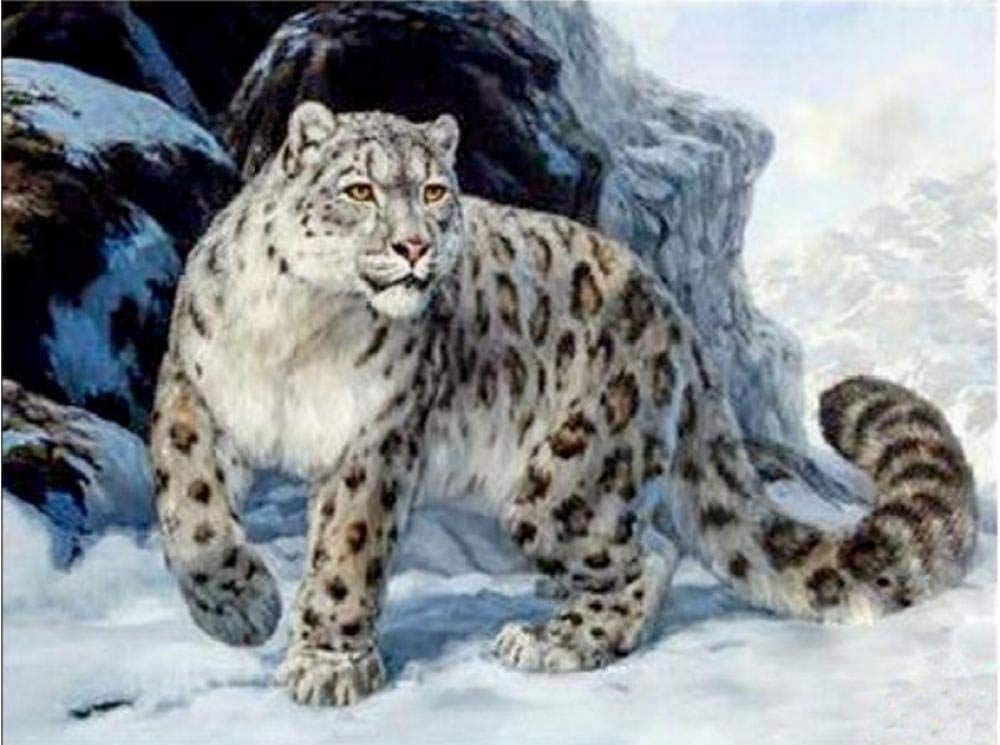 DIY Embroidery Craft Kits - 11CT Stamped Cross Stitch Kit for Beginners, Snow Leopard Print Needlework Supplies, Adult & Kid Needlepoint Gift Set (16x20 Inch) - Perfect for Home Decor, Wall Art & Relaxation Crafts