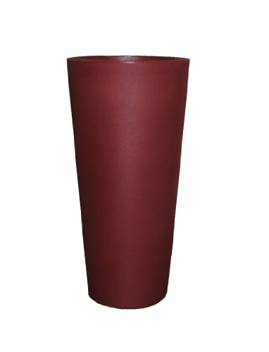 Oxblood
