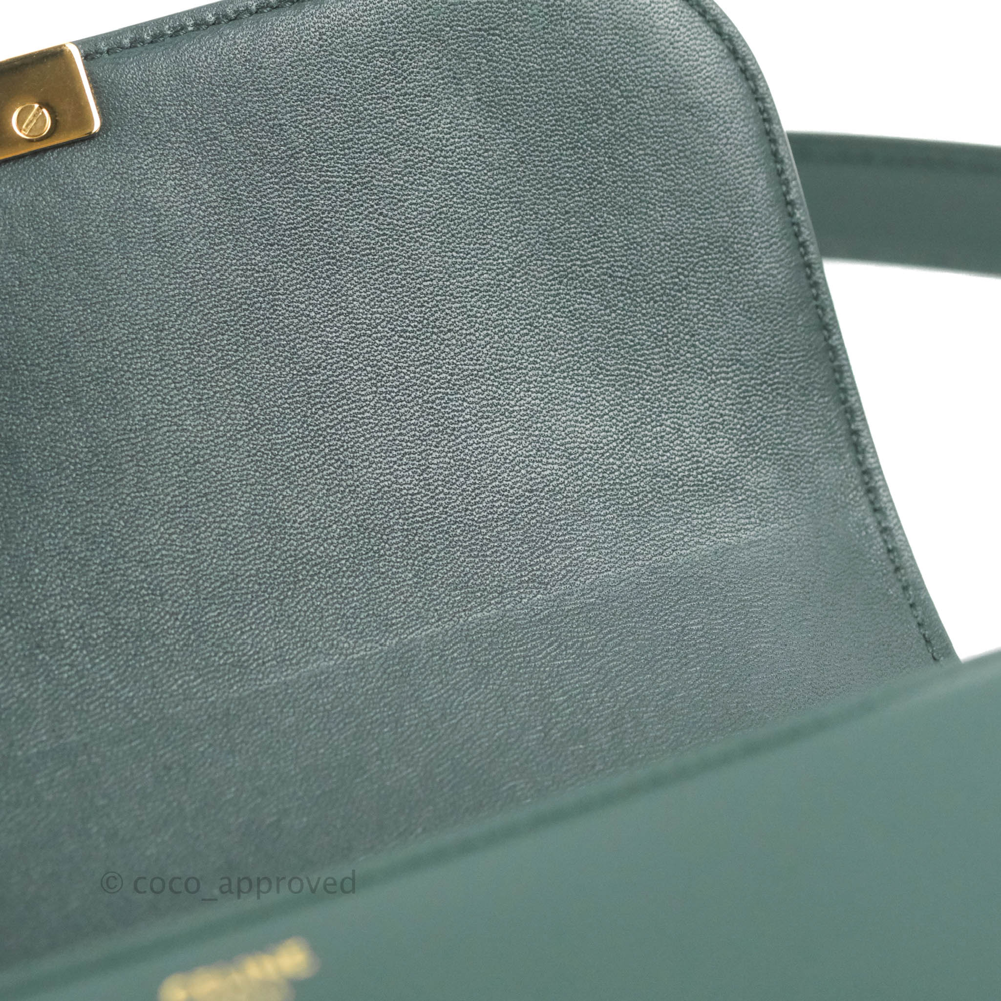 Celine Medium Triomphe Bag in Shiny Calfskin Leather - Amazone Green Crossbody Purse for Women | Perfect for Work, Date Night & Travel Accessories
