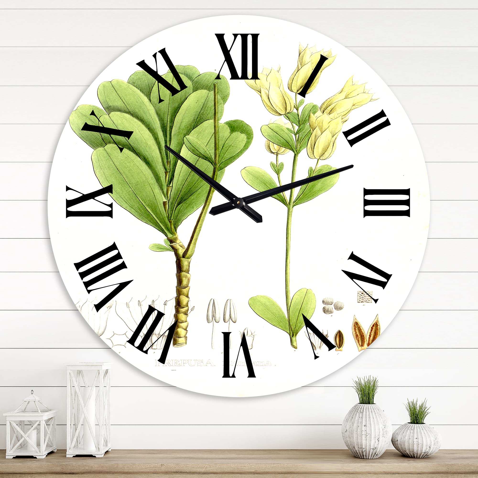 Vintage Brazilian Plant III Floral Wall Clock - Large Traditional Decor for Office, Living Room & Bedroom - Elegant Botanical Design for Home & Workspace