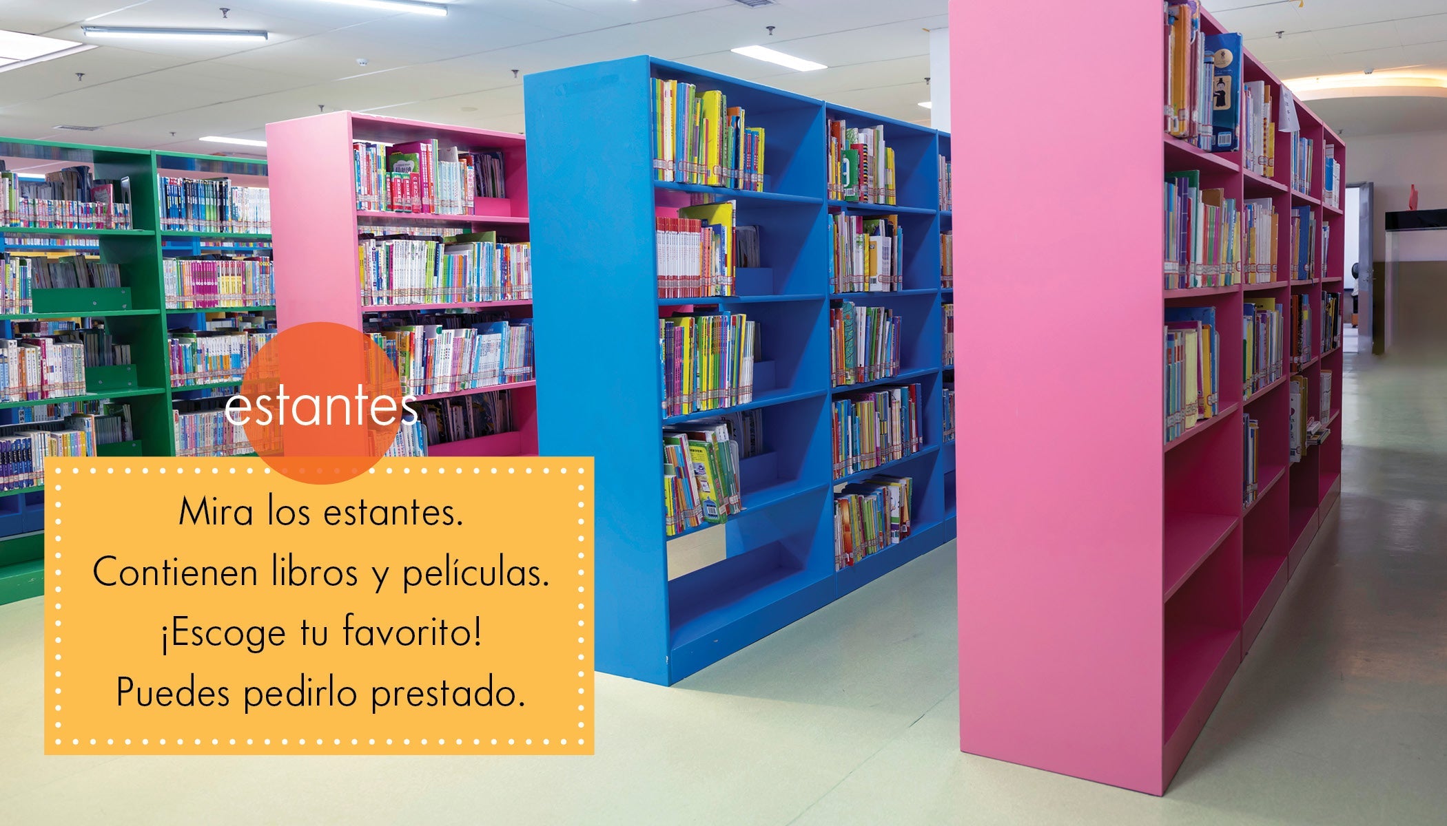La Biblioteca - Spanish Language Books & Novels for Adults & Kids - Perfect for Home, School & Library Reading