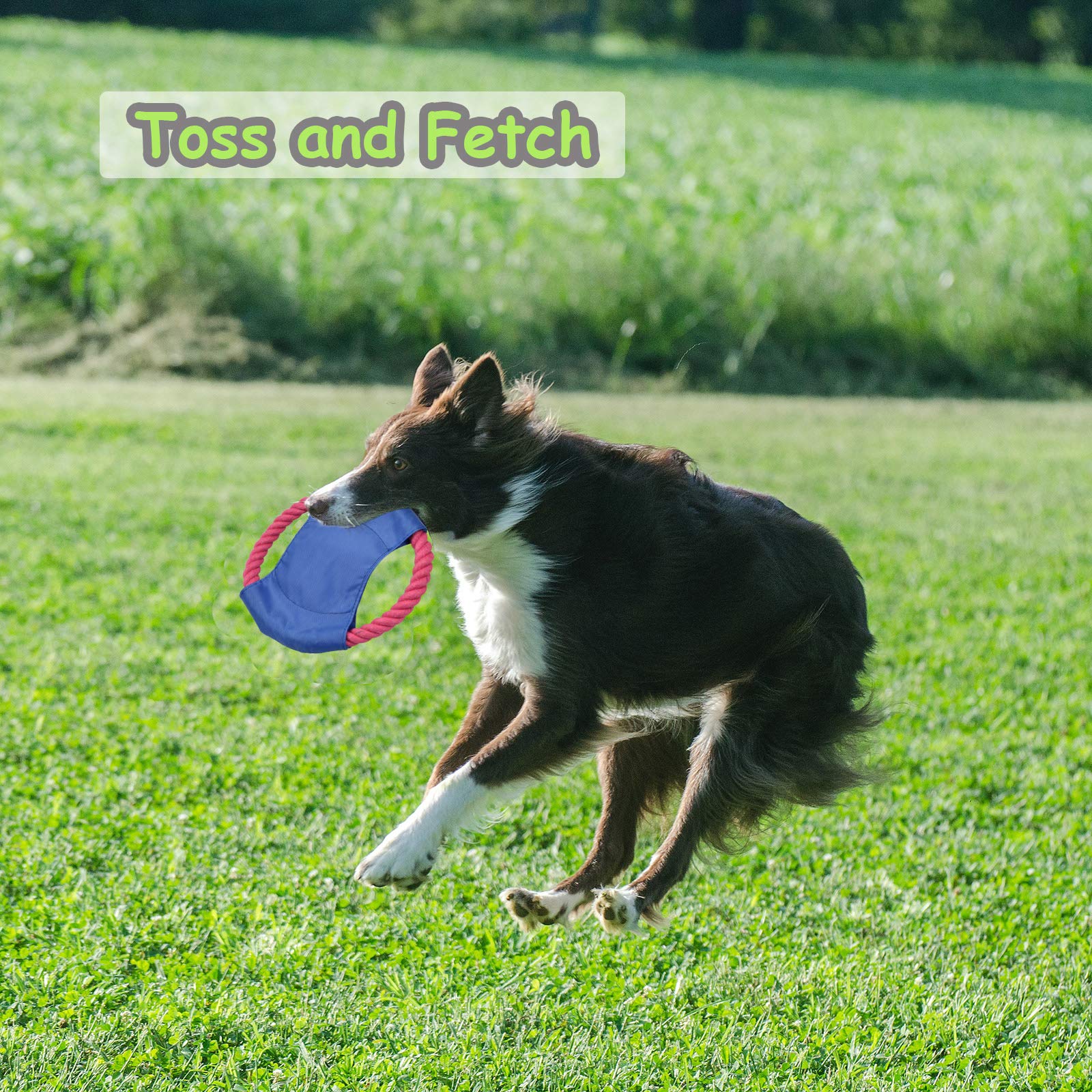 Durable Rope Dog Toys for Aggressive Chewers - Heavy Duty Chew Toys for Large, Medium & Small Breed Dogs - Puppy Teething & Dental Care - Stress Relief & Boredom Prevention - Perfect for Indoor Play, Outdoor Fetch & Training Sessions