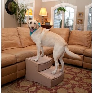 Extra Wide 2-Step Folding Stool with Non-Slip Feet - Lightweight & Sturdy Step Ladder for Home, Kitchen, Garage - Available in Multiple Colors (Black/White) - Perfect for Reaching High Shelves, Changing Light Bulbs & Home Organization