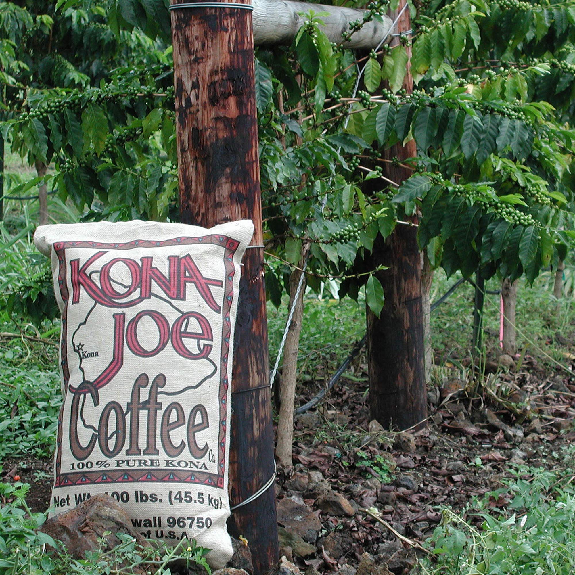 Premium Kona Joe Gourmet Coffee Blend - Medium Roast Ground Coffee 8oz Bag | 100% Hawaiian Kona Coffee Beans | Perfect for Morning Brew, Office Use & Gift Giving