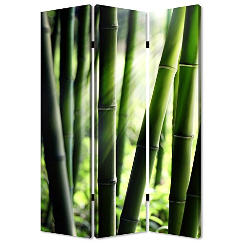 Stylish Bamboo Room Divider Screen - Natural Privacy Partition for Home & Office Decor | Perfect for Living Rooms, Bedrooms, and Studio Spaces