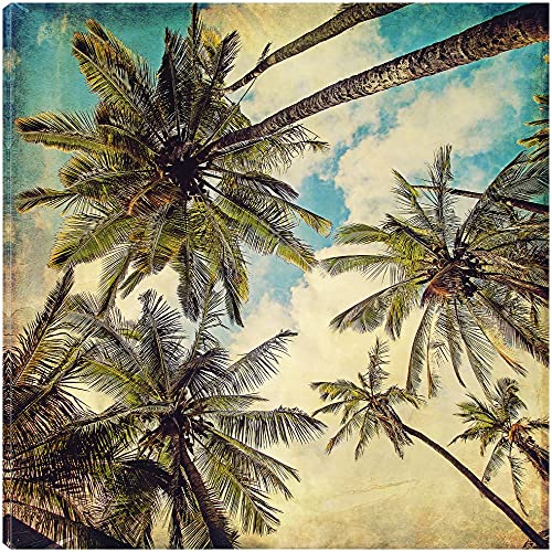 Kauai Island Palms