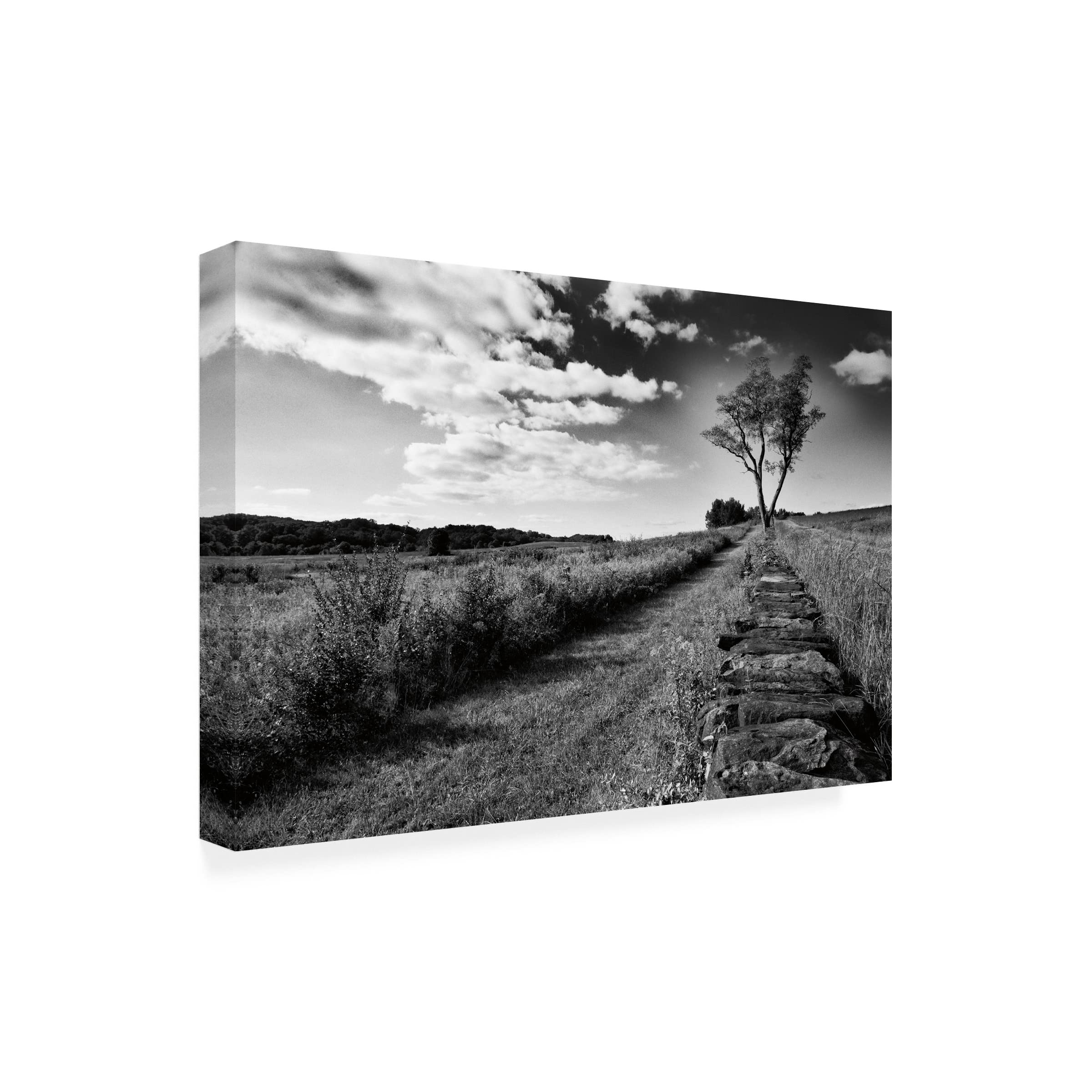 Trademark Fine Art 'Stone Wall' Canvas Art by Aledanda - Elegant Textured Wall Decor for Living Room, Bedroom & Office