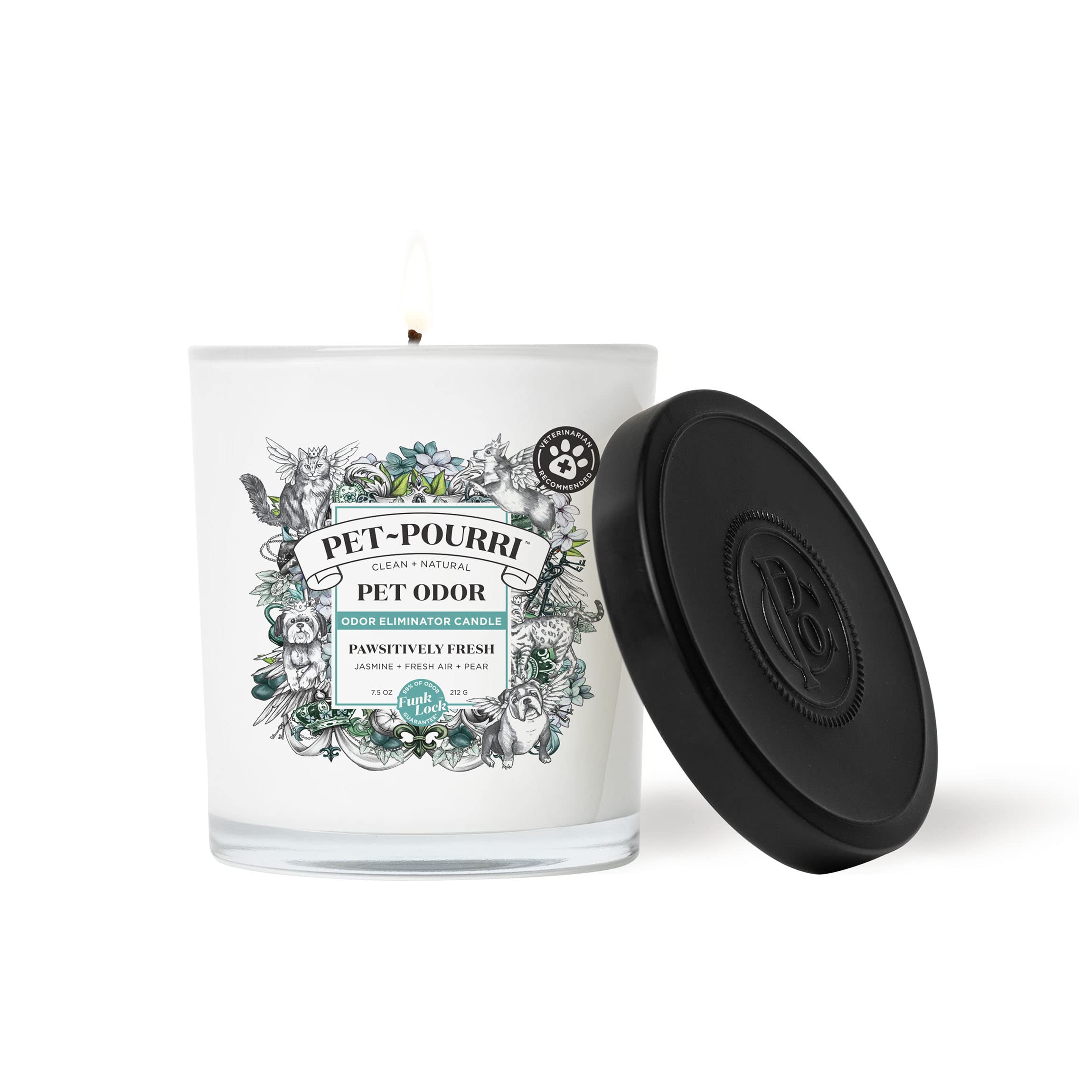 Pet Safe Deodorizer Candle - Plant Based Wax for Pet Odor - Pineapple Scent for Home & Grooming
