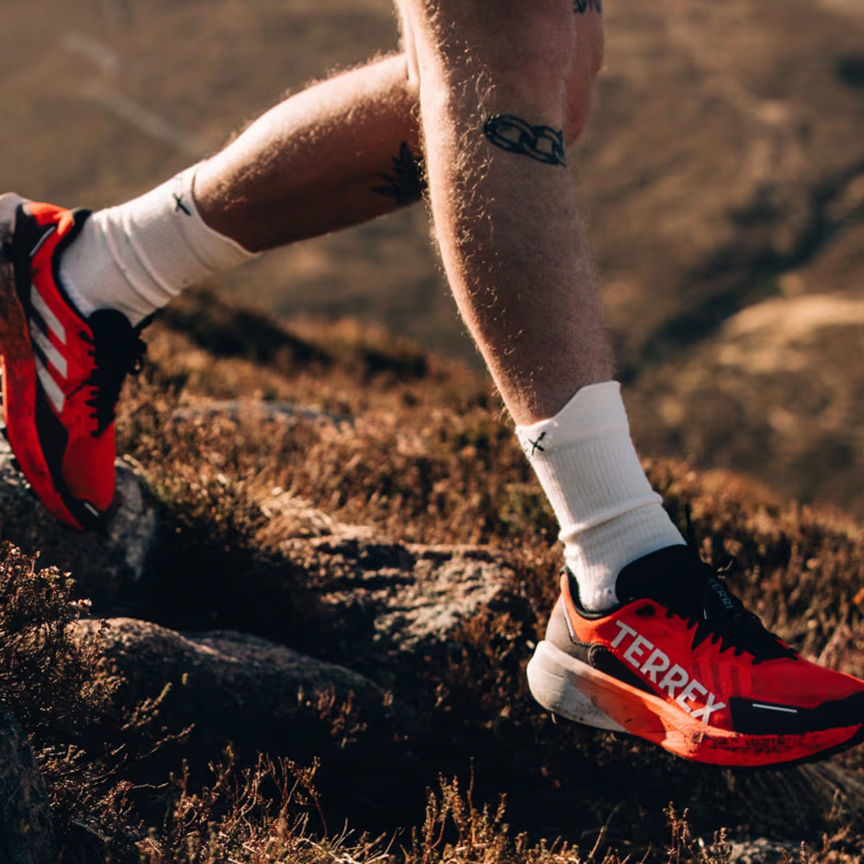Men's adidas Terrex Agravic 3 Trail Running Shoes - Lightweight & Durable for Hiking, Outdoor Adventures & Fitness Training