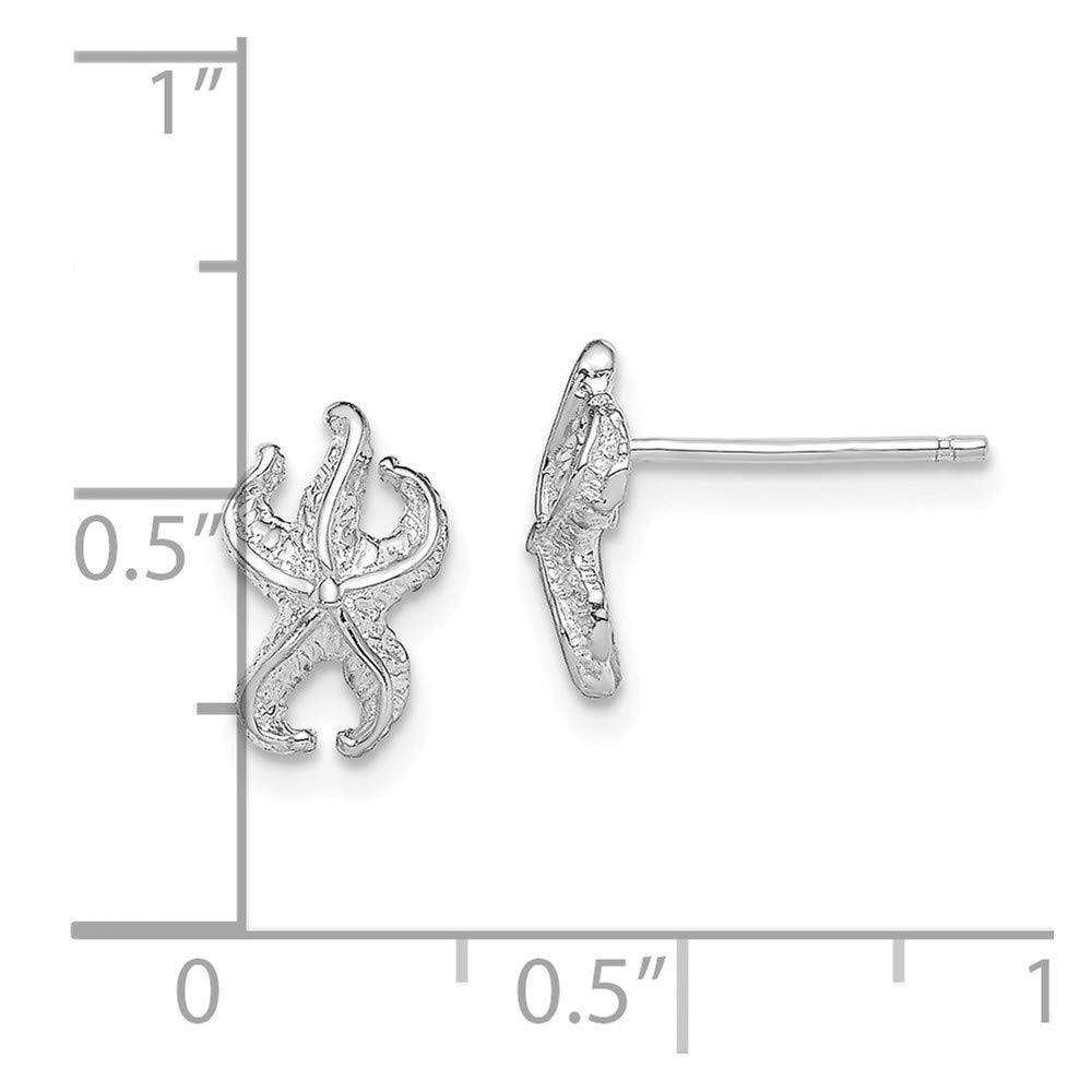 14K White Gold Starfish Stud Earrings for Women - Hypoallergenic, Dainty & Elegant Jewelry - Perfect for Beach Vacations, Summer Parties & Gift Giving