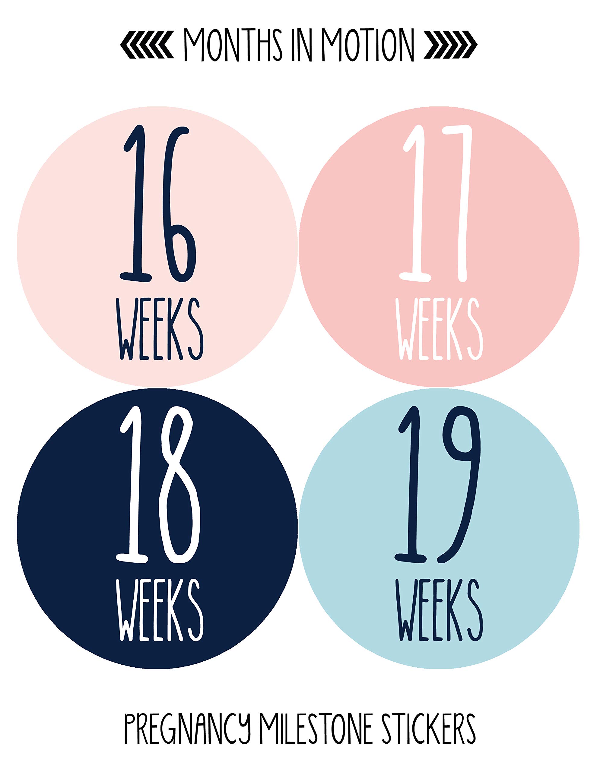 Months In Motion Weekly Pregnancy Growth Stickers - 36 Pcs Baby Bump Photo Props for Maternity Milestones | Perfect for Pregnancy Journal, Baby Shower Gifts & Bumpdate Photos | Track Your Pregnancy Journey Week by Week