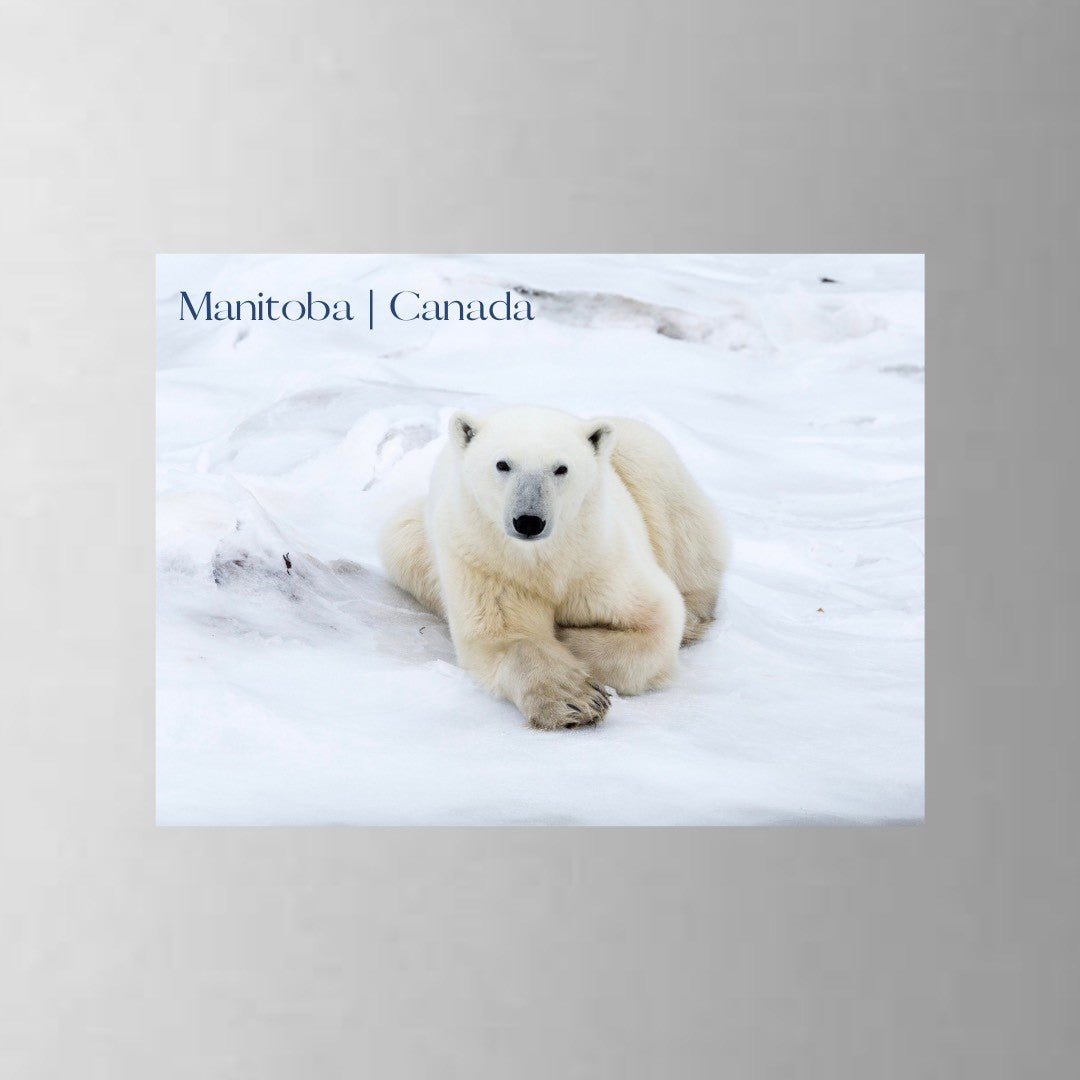 From My Angle Photography Magnets - High-Quality Photo Fridge Magnets for Home, Office & Gifts | Perfect for Scrapbooking, DIY Crafts & Decoration