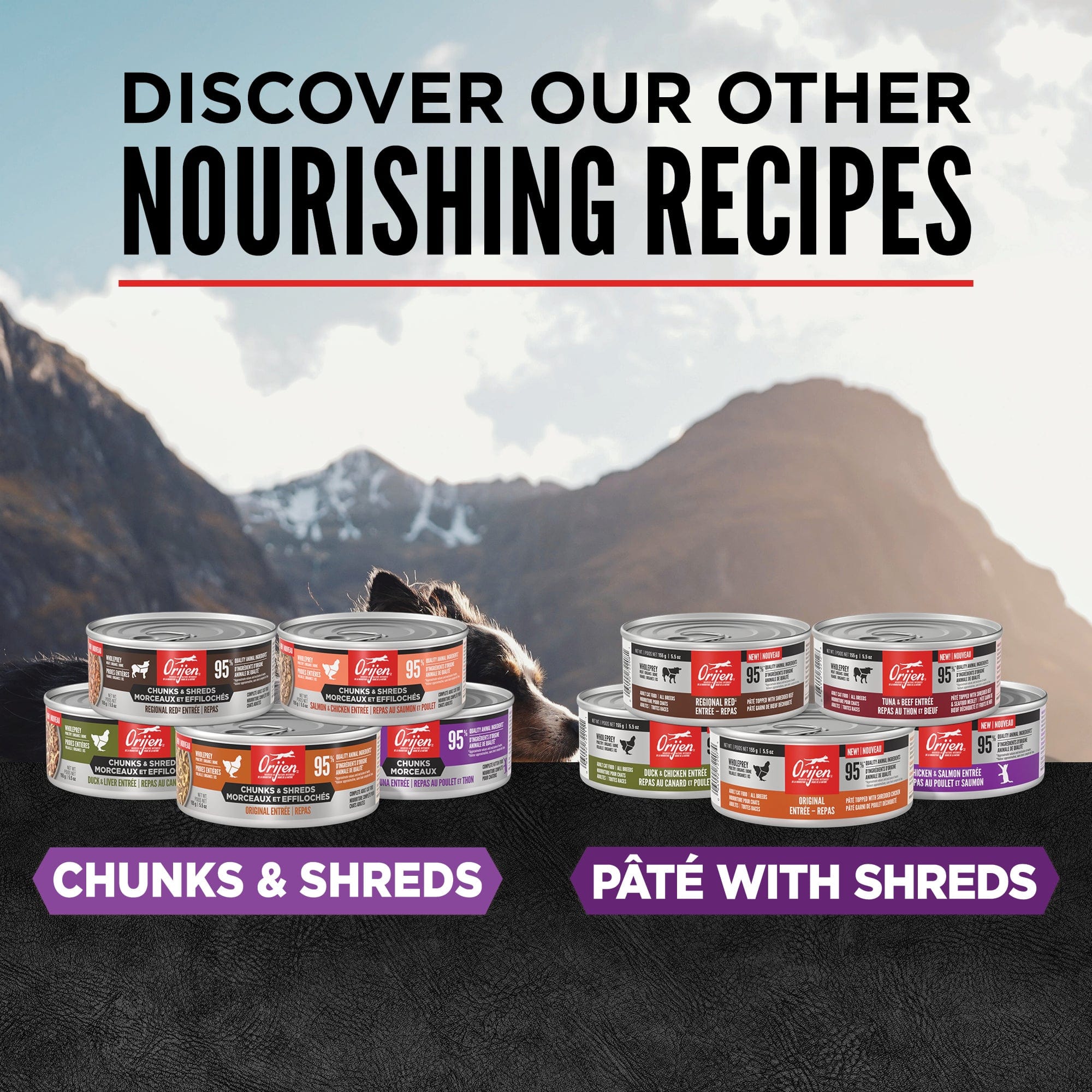 Orijen Chicken & Tuna Chunks Entrée Canned Kitten Food - Grain-Free, High-Protein Wet Cat Food for Kittens, 5.5oz - Perfect for Weaning, Growth & Picky Eaters