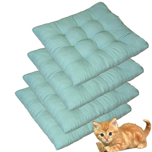 Aqua Blue