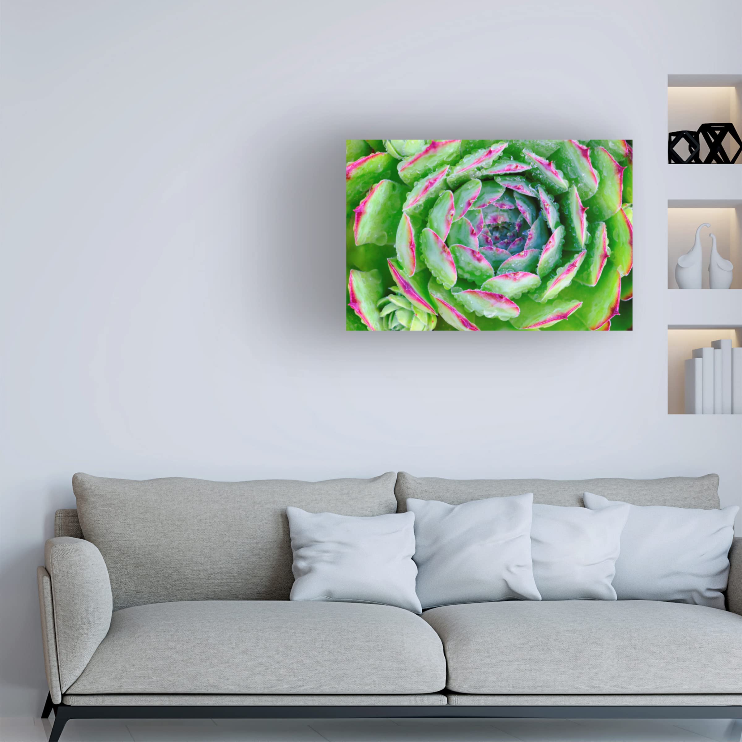 Sempervivum Close Up Canvas Wall Art by Cora Niele - Botanical Home Decor for Living Room, Bedroom & Office - Stretched Framed Ready to Hang Floral Print