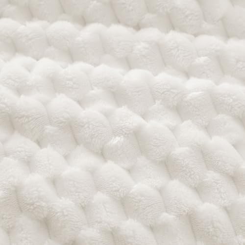 Cream White - Plaid Pattern
