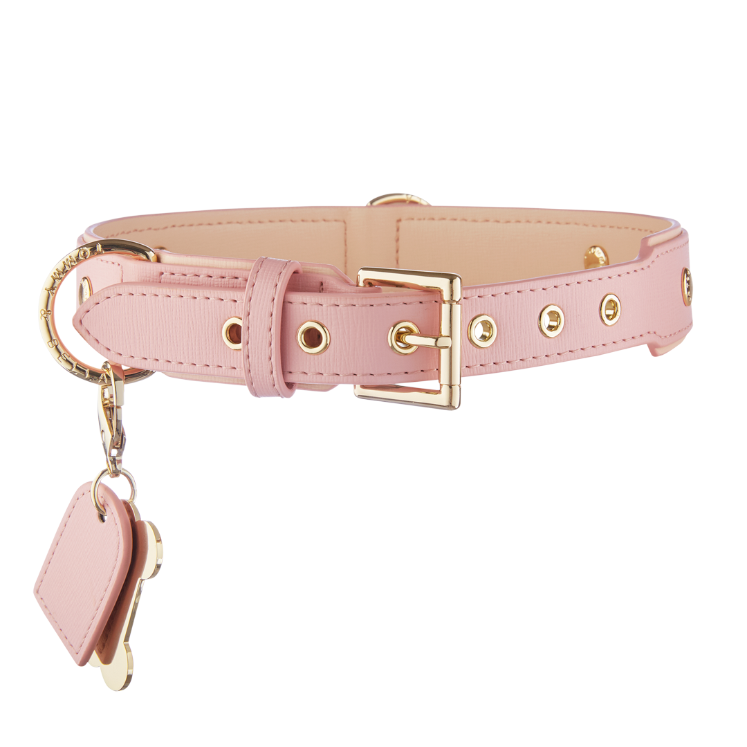 Pink and Tan Dog Collar - Adjustable Nylon Pet Collar for Small Medium Large Dogs - Perfect for Daily Walks, Training, and Outdoor Adventures