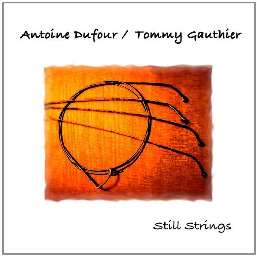 Still Strings - Premium Guitar Strings for Acoustic & Electric Guitars | Perfect for Live Performances & Studio Recording
