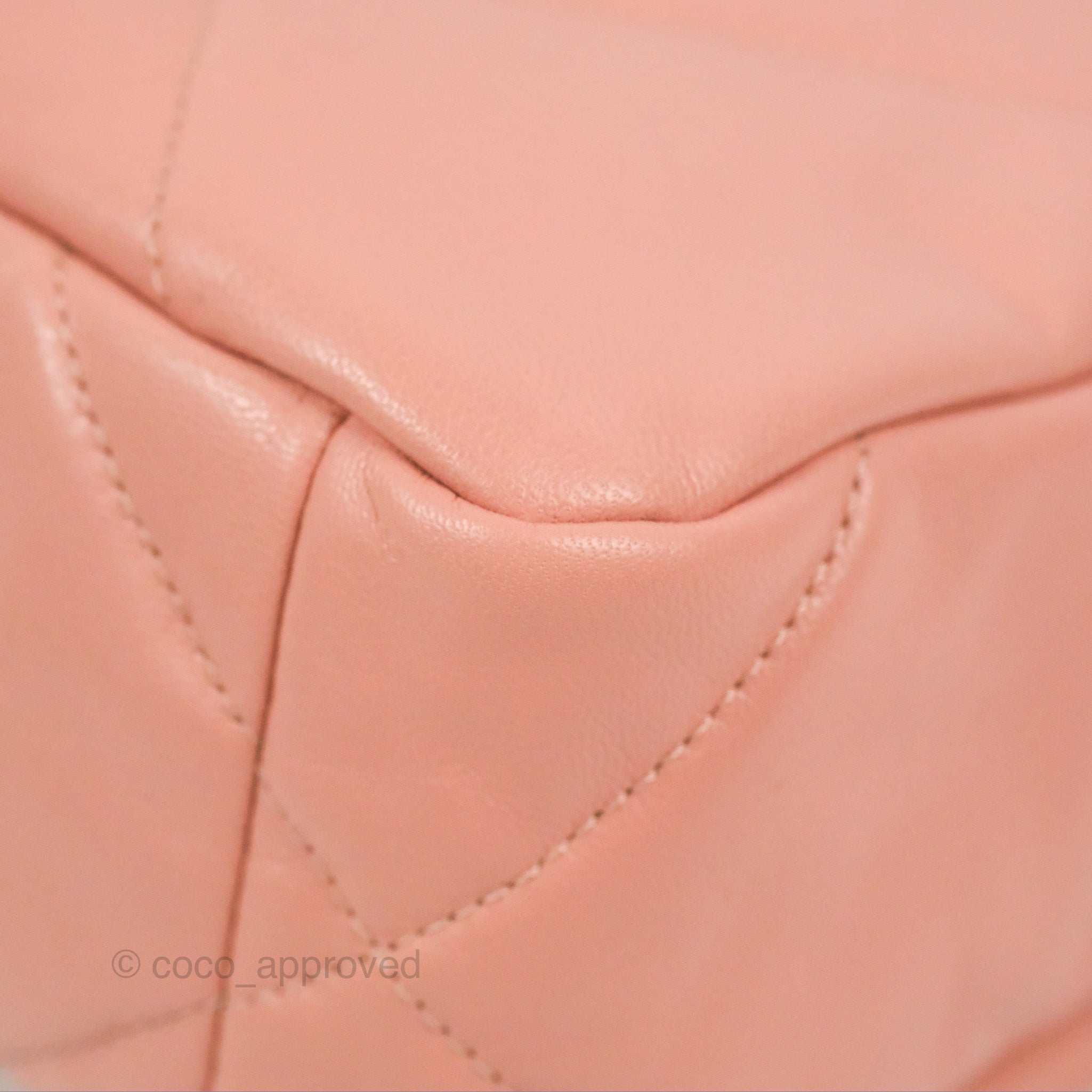 Chanel 19 Small Handbag in Blush Pink Goatskin Leather with Mixed Hardware - Perfect for Everyday Luxury & Special Occasions