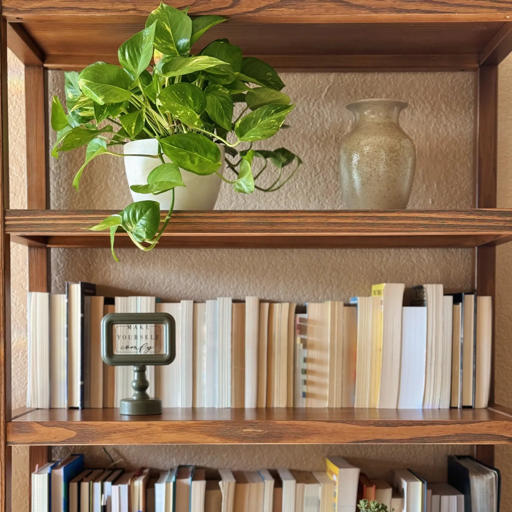 Greenport 72 Inch Tall 5-Shelf Wooden Bookcase - Modern Bookshelf for Living Room, Office & Bedroom - Sturdy Storage Organizer for Books, Decor & Essentials
