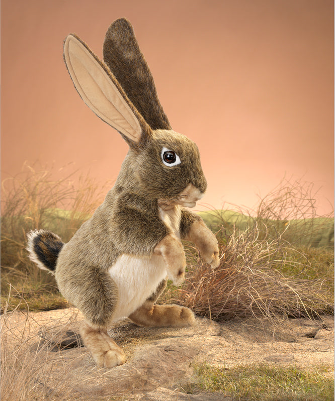 Jack Rabbit Hand Puppet by Folkmanis - Realistic & Interactive Stuffed Animal Toy for Kids, Storytelling, and Educational Play