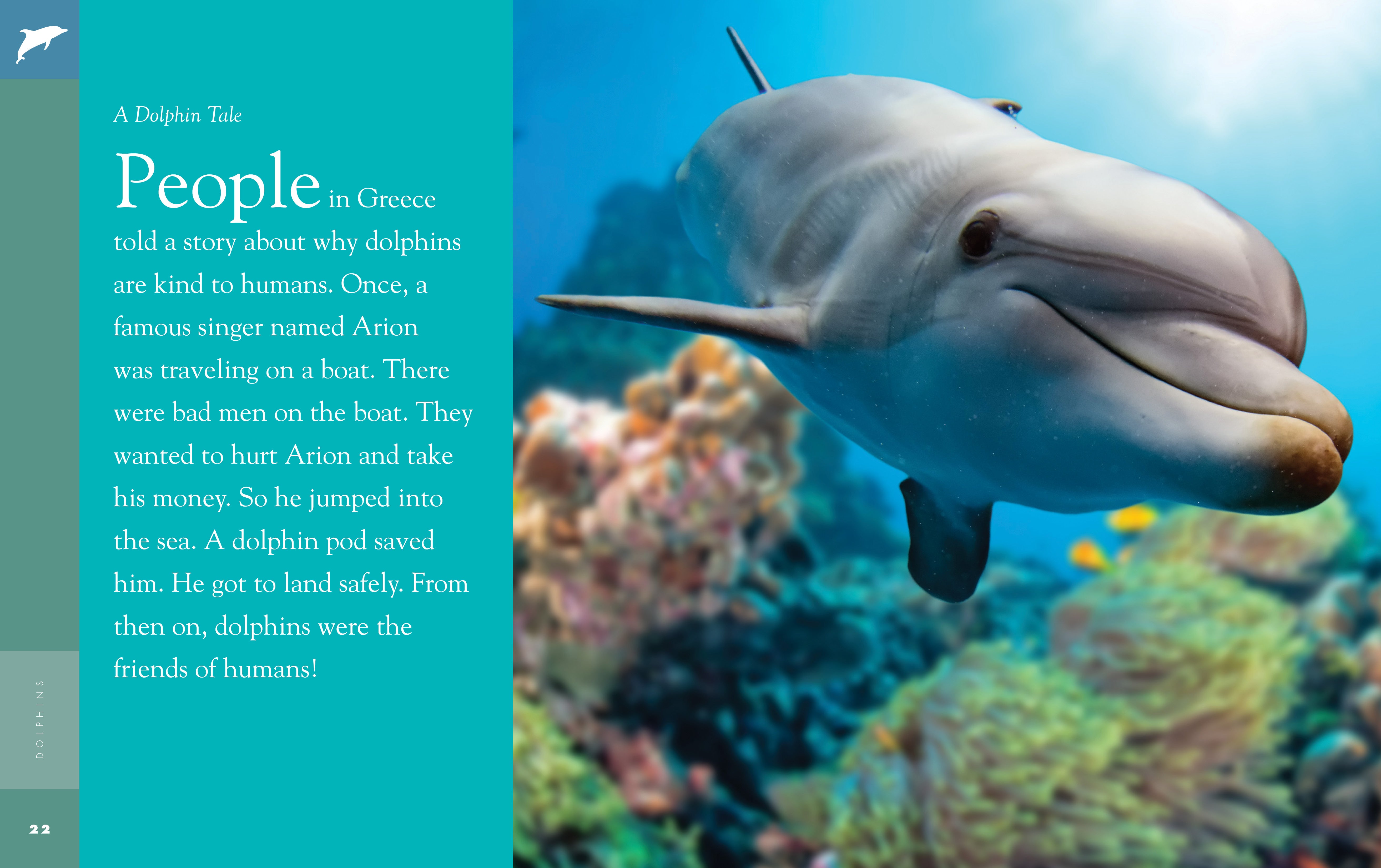 Dolphins Book 9781640262027 - Marine Life Educational Guide for Kids & Adults - Perfect for School Projects & Ocean Enthusiasts