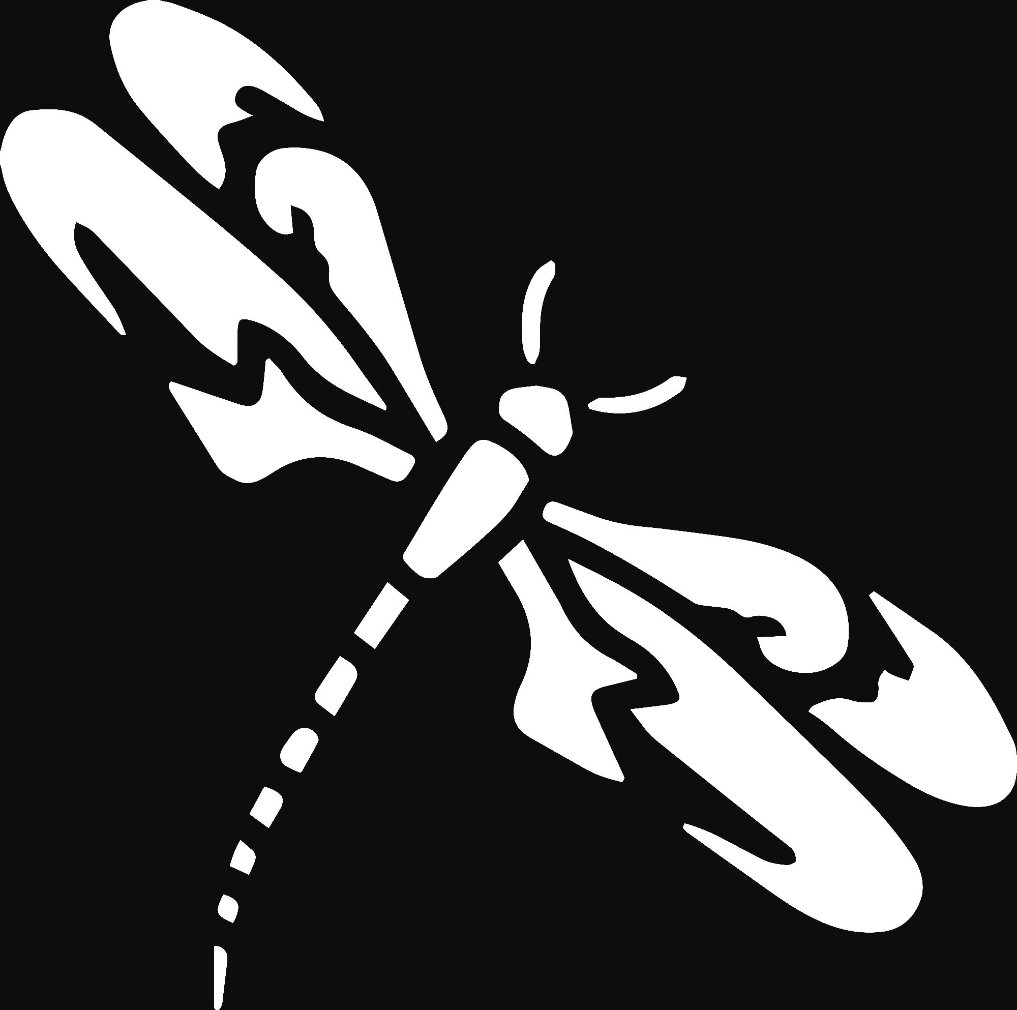 Premium Waterproof Vinyl Decal Stickers (Set of 2) - Dragonfly Design for Laptop, Phone, Helmet, Car, Mug & Wall Decor | Durable Adhesive for Indoor & Outdoor Use