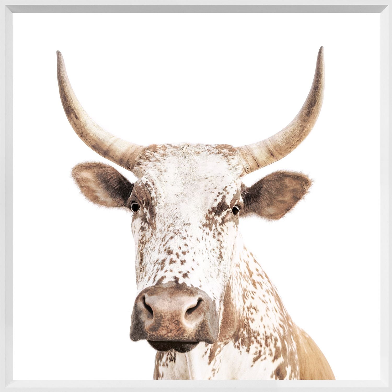 Rustic The Cordial Cow Wall Art - Farmhouse Decor for Kitchen, Living Room & Bedroom - Unique Countryside Home Decor